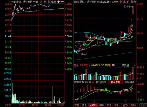 報復性反彈出現(xiàn)