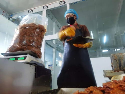 在寧夏,這些小產(chǎn)業(yè)托起了群眾穩(wěn)穩(wěn)的幸福